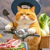 胖橘日常记录头像