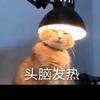 顺疯阿杰头像