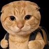 赛彦祖头像