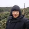 村干部汪必茁（桃胶姑娘）头像