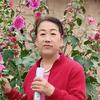 幽默温姐头像