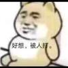 七八九月的天气像我和你需要下一场雨头像