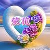 荣花～感悟人生与精选好物头像