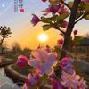 福寿安康头像