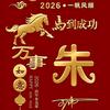朱哥哥头像