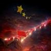 仙人掌之坚头像