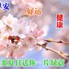 翱翔123头像