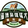 淄博枭雄猛犬俱乐部 邢小硕😋头像