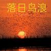亮剑570114头像