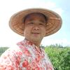 喜尚四季逗头像
