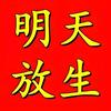 深圳龙华区佛道双修放生祈福头像