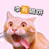 李🈶猫饼头像