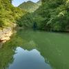 野钓阿杨头像