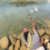 垂纶十方🎣头像
