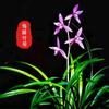 瞭望之窗（梅兰竹菊）头像