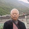 何良树壁纸头像