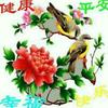 🌺🌺潇洒🌺自由💐逍遥🌷自在👫头像