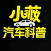 小薇汽车科普头像