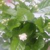 @青山依旧在头像