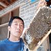 张蜂哥四川，广元苍溪县白桥头像