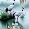 宝贝石头乐开跃达头像