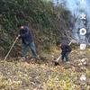子墨头像
