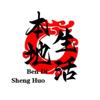 探鹏城头像