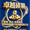 演出策划总监头像