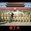 东南亚鳄鱼🐊曹丁木头像