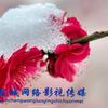 🌹🌹盐城网络影视传媒（阿琴）🌹🌹头像