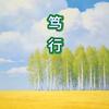 光芒闪照头像