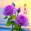 舒建发头像