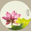 cui-简单快乐头像