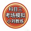 宝藏科目三考场模拟小刘教练头像