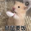 晓哥说情感呀~头像