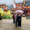 陈学青头像