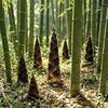 暖通小喻头像