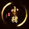 小猪说剧头像