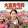 红娘代收代卖大蒜土地流转头像