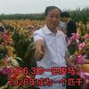 一线千里头像