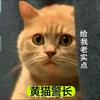 黄猫侦探头像