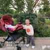 皮皮和乐乐头像