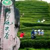 乡土农夫头像