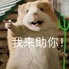 小峰峰游戏头像
