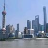 上海游记头像