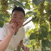 桐子哥新农人松哥头像