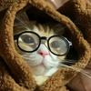 酷酷猫meme头像