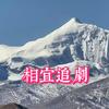 相宜追剧头像