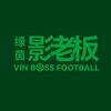 绿茵影老板头像