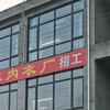 相貌汤汤头像